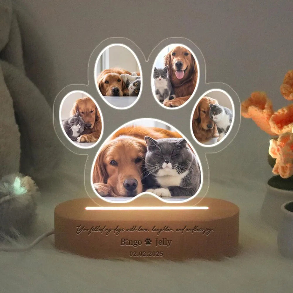 Loss of Dog