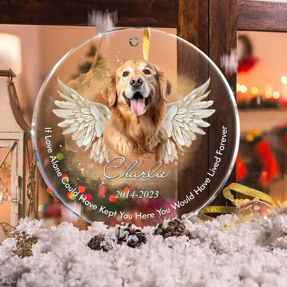 Personalized Pet Memorial Photo Ornament – Custom Angel Wings Dog or Cat Remembrance Keepsake
