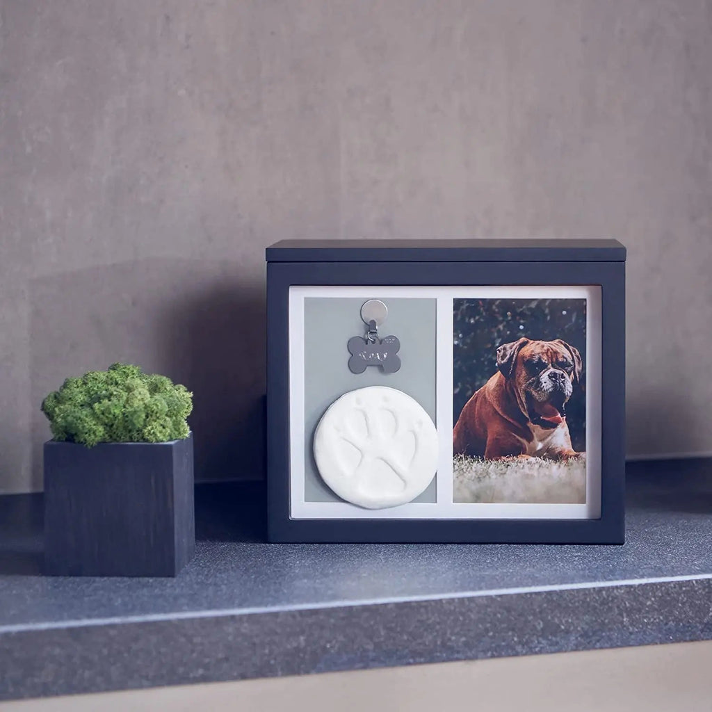 Pet Memorial Urn & Keepsake Box with Photo Frame, Paw Print Kit & Album
