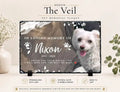Personalized Pet Memorial Stone Custom Photo Engraved With Paw Prints Dog Cat Loss Remembrance Sympathy Gift Garden Grave Marker